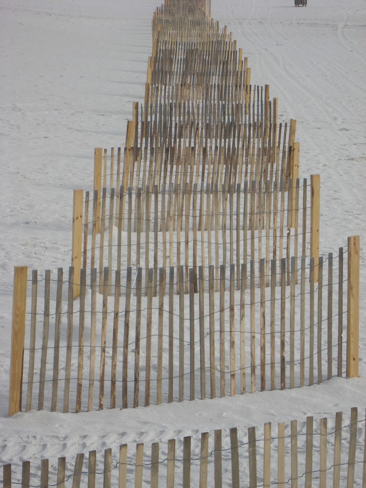 Vacation 2007-12 - Beaches Disney Hotels 0373.jpg - My attempt at an "arty" shot.